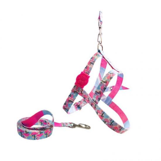 Conjunto Guia Peitoral Seda Nº 2