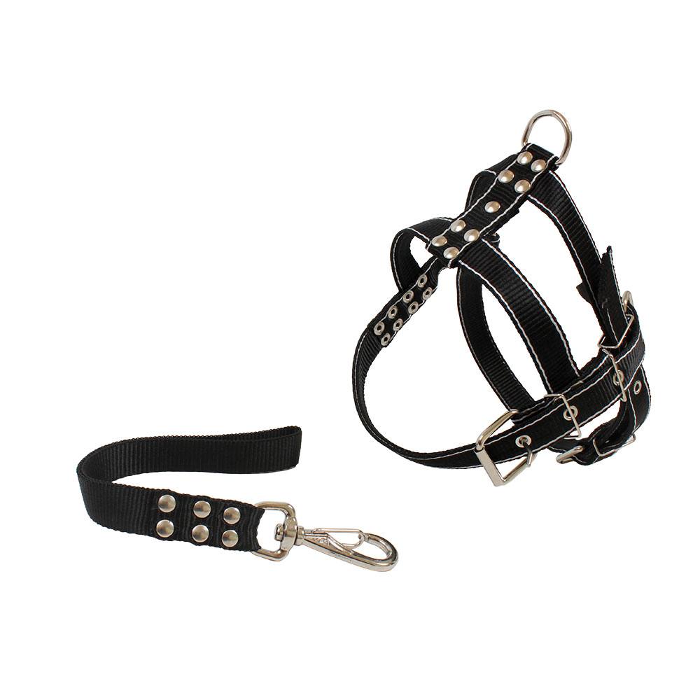 Conjunto Guia e Peitoral Reforçado Para Cães D&G Cores Sortidas Tam. G