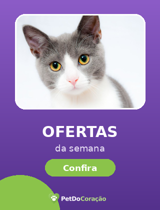 Sachês para Gatos
