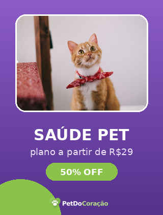 Brinquedos e acessórios