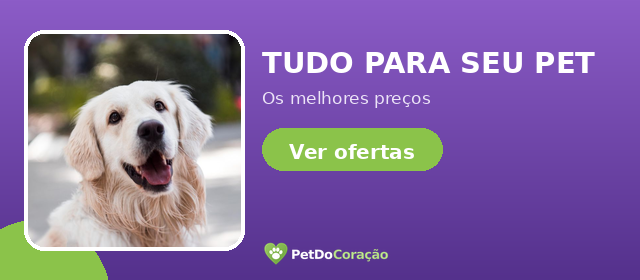 Ofertas para Gato